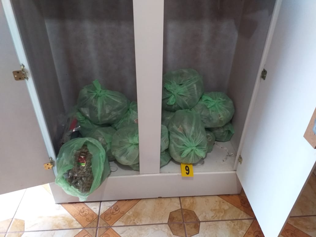 Mediante cateo FGR asegura cartuchos, droga y más en Irapuato