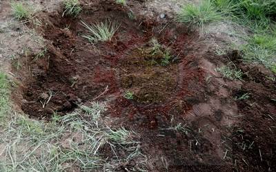 Abren investigación por fosa clandestina en Rincón de Tamayo