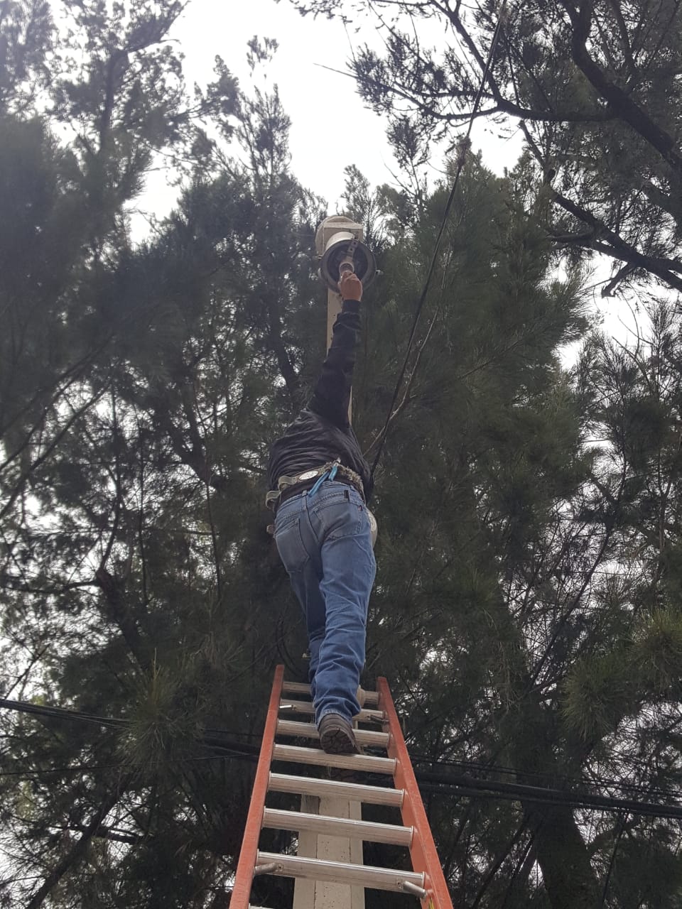 Ahogan deudas de alumbrado público a municipios