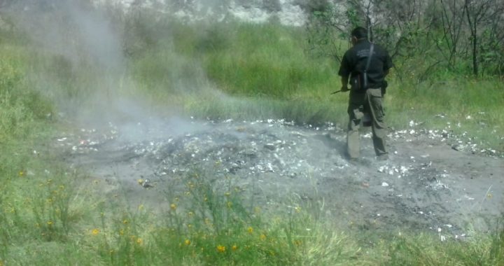 Incineran más de 190 kilos de drogas