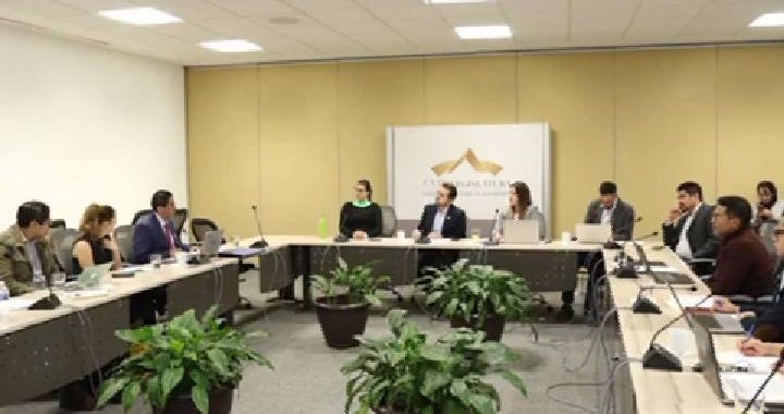 Acusan a asesora panista de burlarse de iniciativas del PVEM