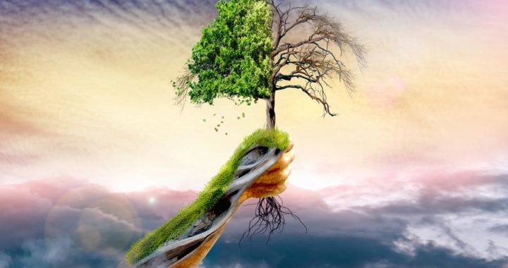 Efectos destructivos del cambio climático*