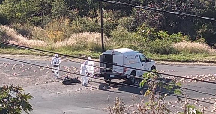 Eran cuatro cuerpos abandonados en bolsas en la capital