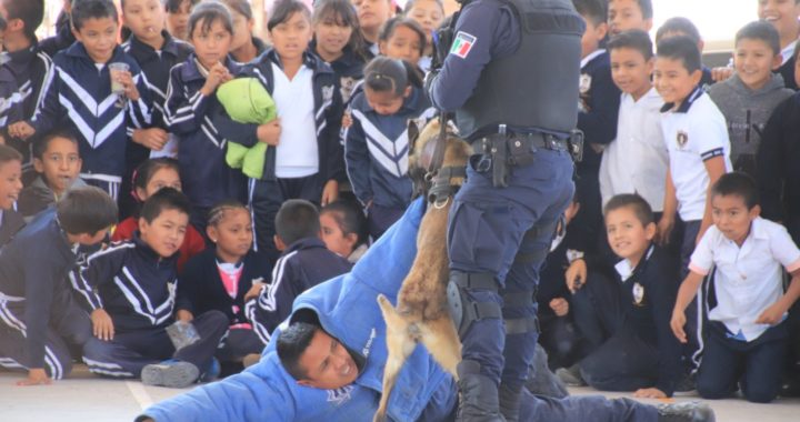 Policía canina capitalina muestra sus destrezas en escuela primaria