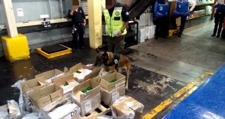 FGR asegura más de 250 kilos de cocaína