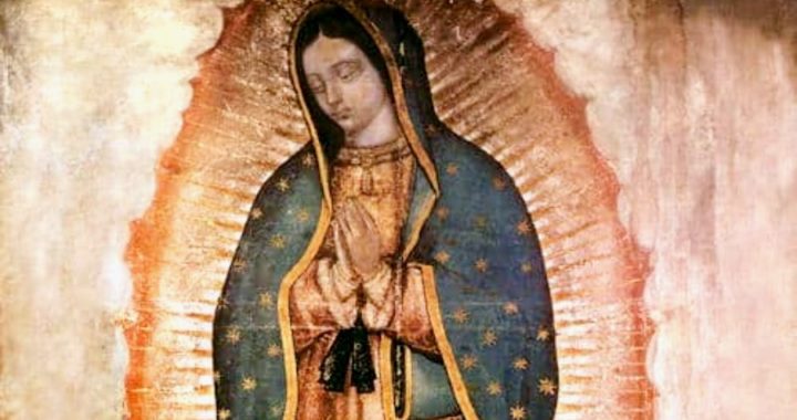 Virgen de Guadalupe, la devoción cristiana que más crece en el mundo*