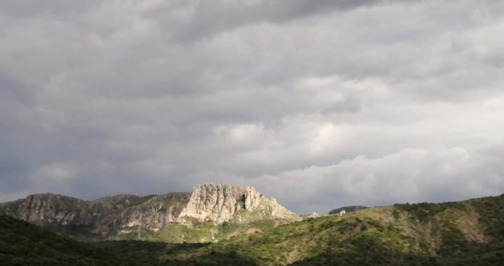 Basim (Sonreír a la Vida)
