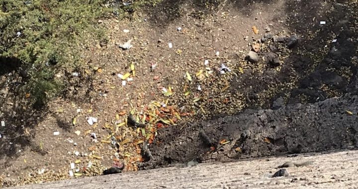 Detienen a 6 por tirar basura en la calle