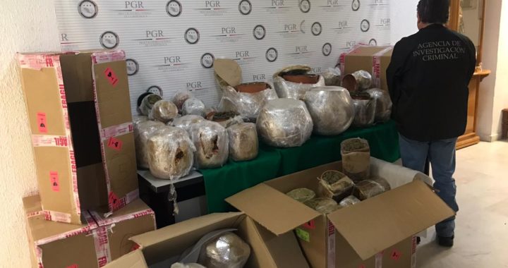 Aseguran 50 kilos de marihuana