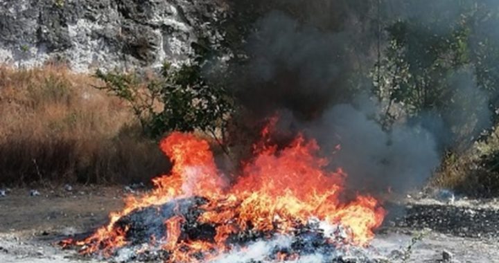 Destruyen 70 kilos de drogas