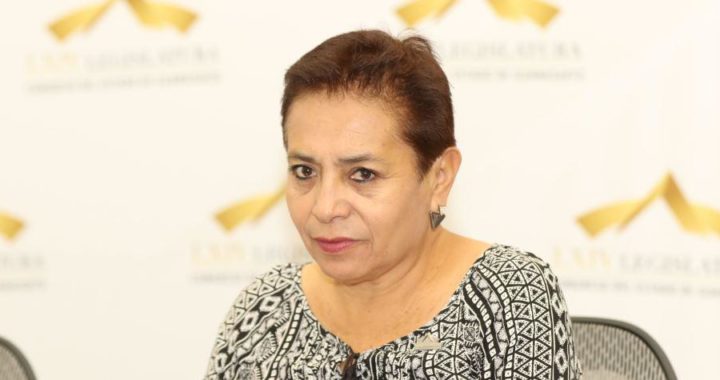Guadalupe Salas seguirá en GPMorena hasta que se defina su situación
