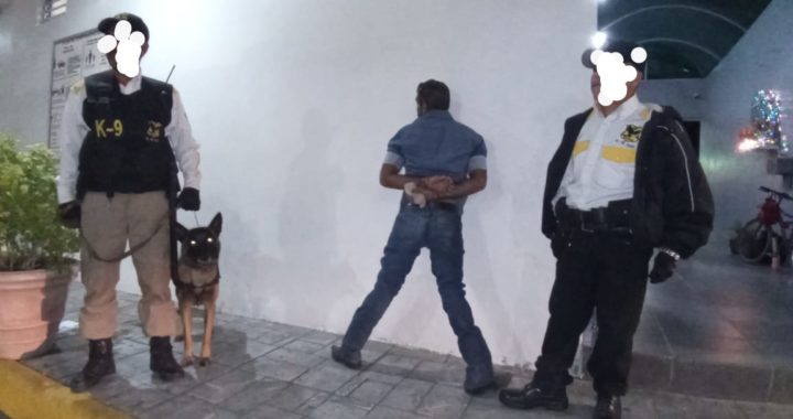 Perro detiene a hombre que se metió al baño de mujeres y espiaba