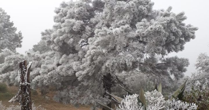 Arranca 2020, con frío leve y lluvias en Guanajuato
