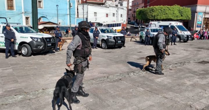 Reforzarán operativos con grupos de élite