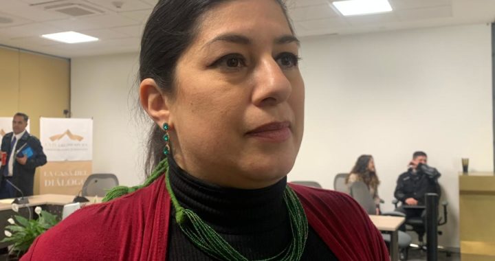 La soberbia no soluciona la inseguridad: Verde