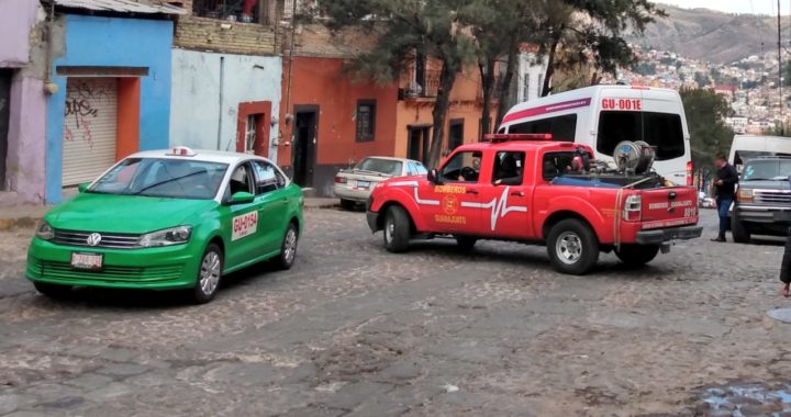 Cuatro lesionados por picadura de avispas