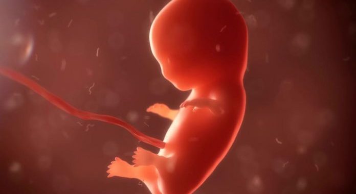 Se debe poner sobre la mesa el tema del aborto y debatirlo