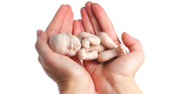 PAN prioriza otros temas, antes que el aborto legal