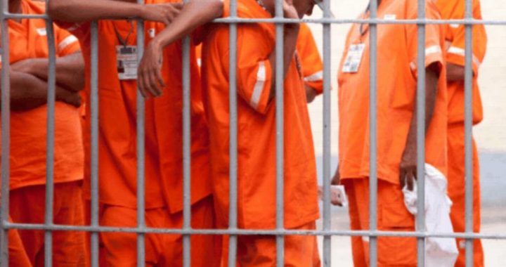 Vinculan a proceso a tres integrantes de una célula criminal