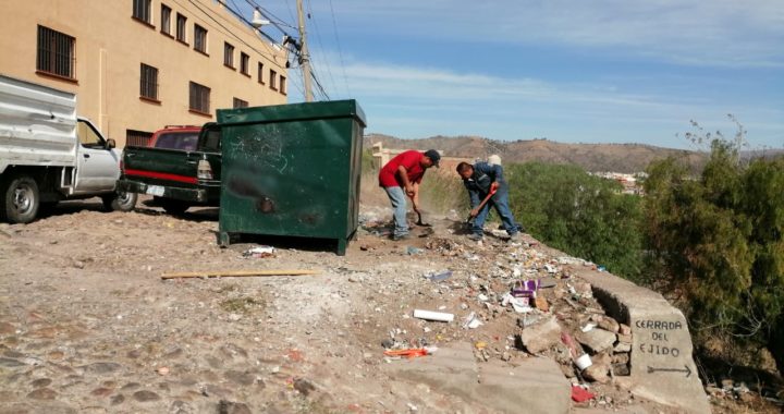 Continúan las limpiezas en cestos, contenedores y transporte público