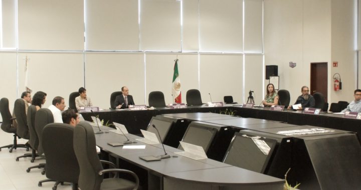Contingencia sanitaria genera la oportunidad de trabajar en el voto electrónico: IEEG