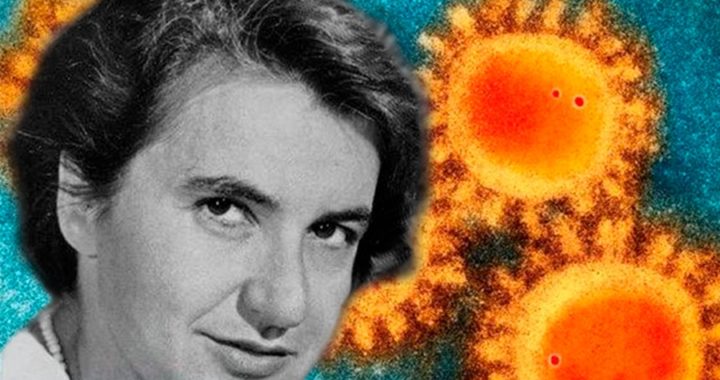 June Almeida, descubridora de los coronavirus*