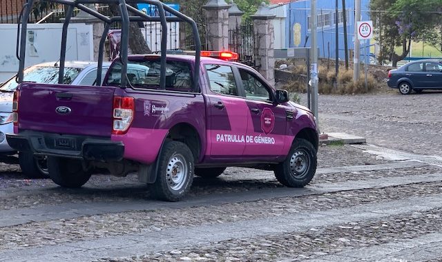 Capacitan a 25 elementos de seguridad en materia de violencia de género