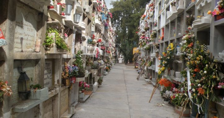 Adjudican obra para el Panteón Santa Paula, pedirán permiso a deudos para realizarla