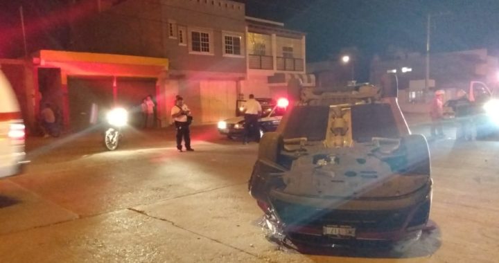 Choca contra palmera y vuelca