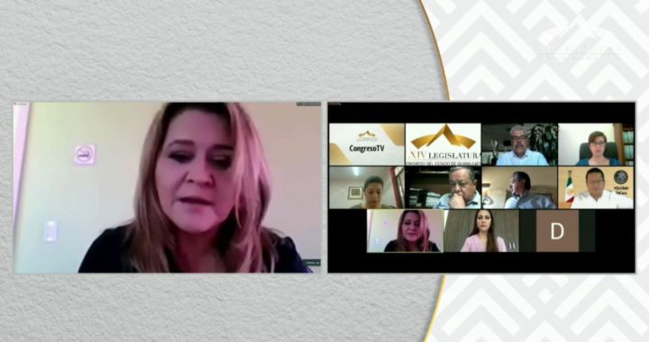 Reclama diputada que en Guanajuato hay «Paz utópica»