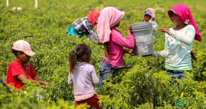 Atienden campamentos de jornaleros agrícolas