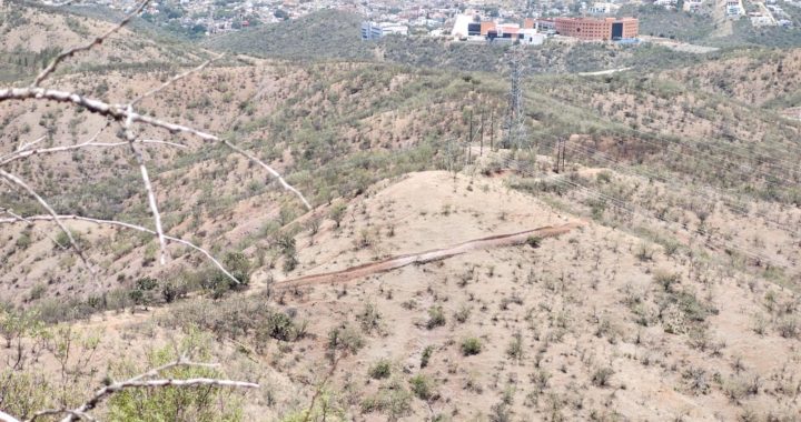Revisan camino ilegal en la Bufa; fue denunciado en redes sociales