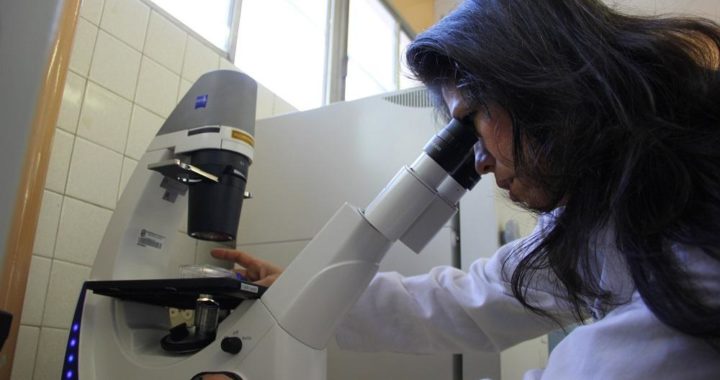 UG trabaja en crear una vacuna  para COVID-19