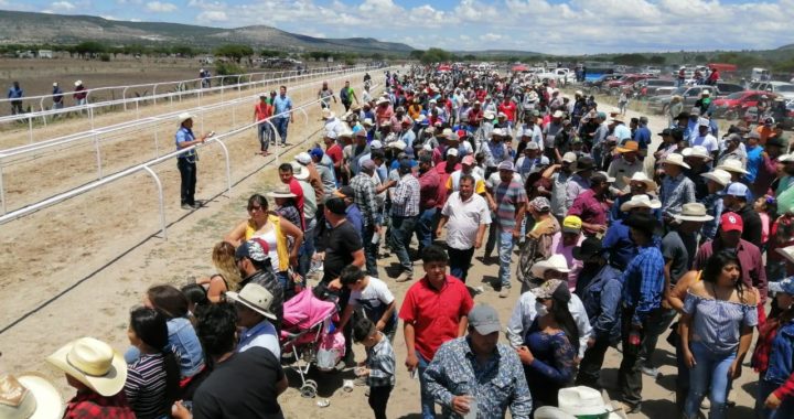 En plena contingencia sanitaria, más de 300 personas participan en carrera de caballos