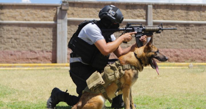 Reconocen labor de la unidad canina de la Fiscalía