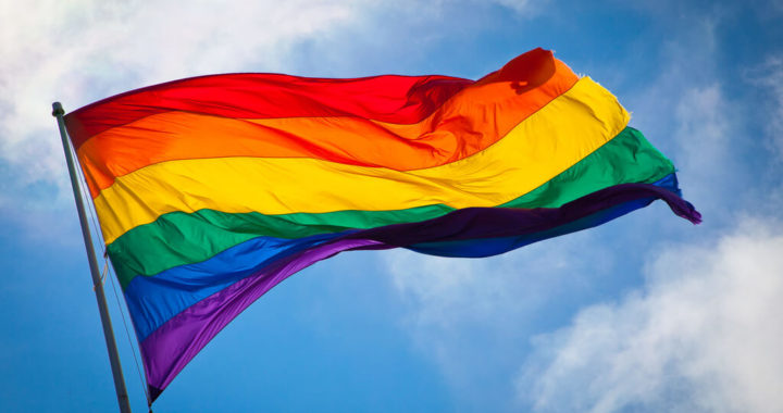 Con ley para la diversidad sexual, busca PVEM eliminar la discriminación