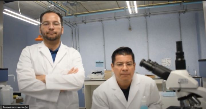 Campus León UG crea suspensión inteligente para inhibir propagación del COVID-19