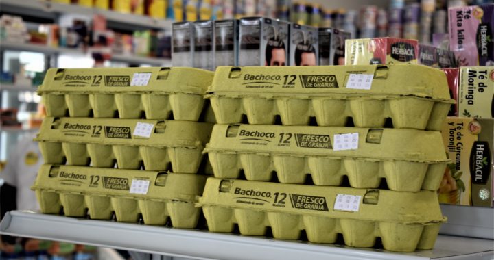 La SDES impulsa programa para emprendedores en alianza con corporativos