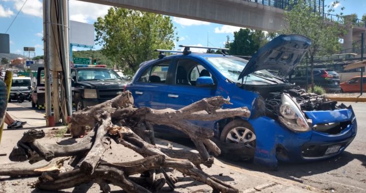 Continúa el análisis para contar con licencia de manejo con puntos