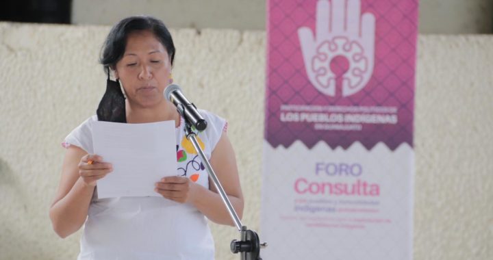 Concluye IEEG consultas a comunidades indígenas