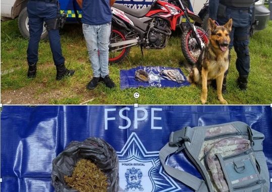 Operativo GTO seguro emite primeros resultados; detienen a 53