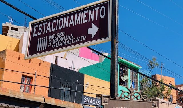 Confía Cecilia Pöhls en llegar a acuerdos con comerciantes de las momias