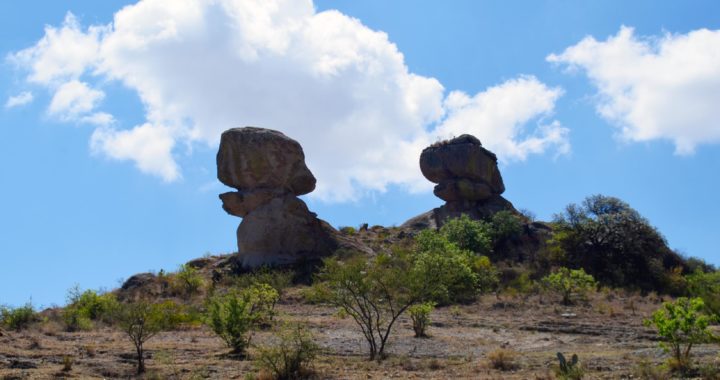 “Las Comadres”, amenazadas
