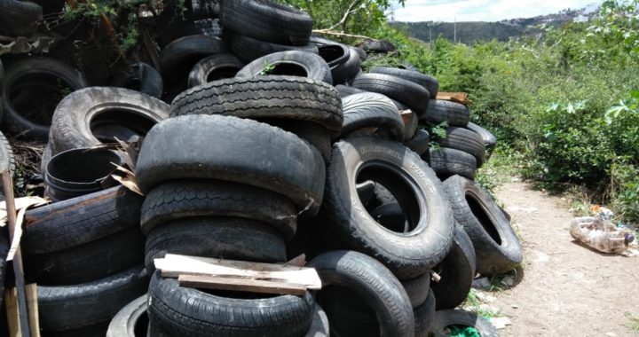 Policía Ambiental atiende reportes que dañan el medio ambiente