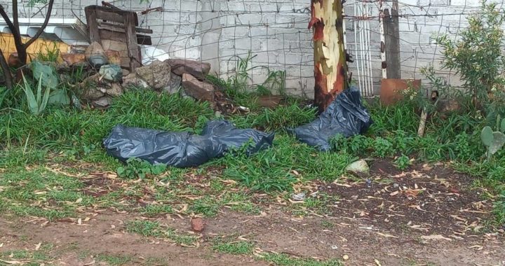 Hallan embolsados en la capital