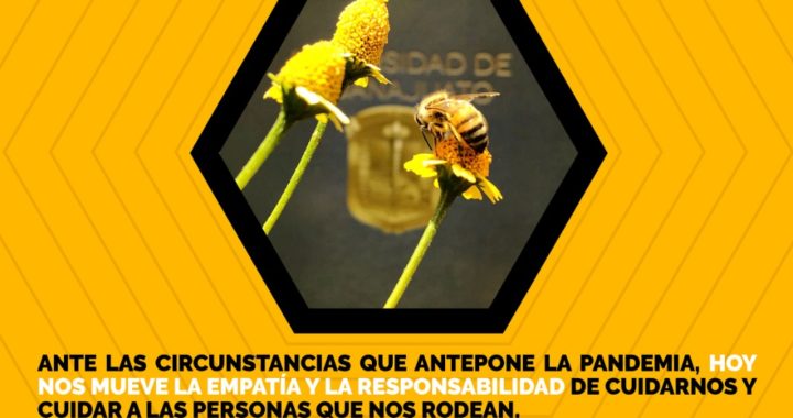 Egresados UG: se solidarizan con la colmena