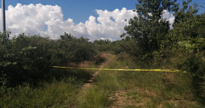 Encuentran hombre sin vida en El Tejaban