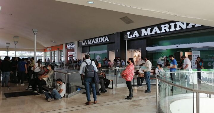 Caos en la capital por canje de placas
