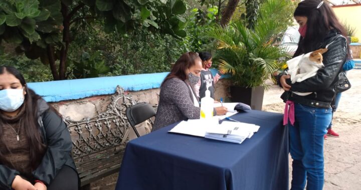 Esterilizan a 318 mascotas en la capital