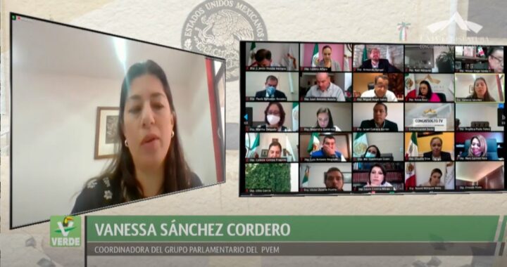 PVEM llama a los Ayuntamientos a no hacer reuniones presenciales